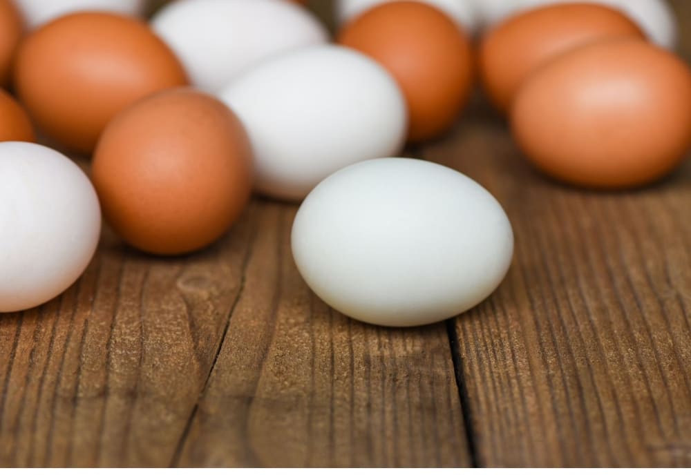 Is Egg Veg or Non Veg The Answer Might Surprise You!